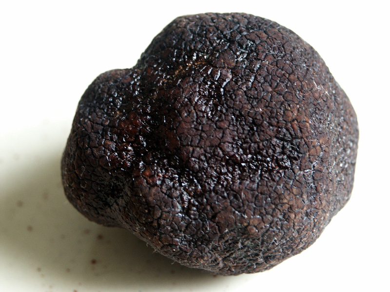 a black truffle
